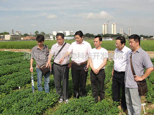 威力泰現(xiàn)場指導篇